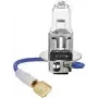 Żarówka halogenowa IWH H3 55W 12V IWH 019353 – samochodowa lampa jednowiązkowa