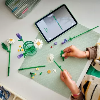 LEGO BOTANICALS 11508 Stokrotki