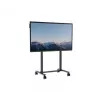 Touchscreen Electric Stand AVTEK 1MV137 height-adjustable mobile mount for interactive displays