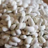 Saszetka nasion Seklos LT PNOS — nasiona fasoli suchej 'Igłomska', 50 g