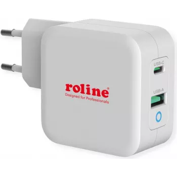 ROTRONIC-SECOMP Roline - Zasilacz - 65 W - 3,25 A - PD, QC 3.0 - 2 porty wyjściowe (USB, USB-C)