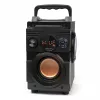 Głośnik Bluetooth 5.1 Squeak Bassblaster, Radio FM, Odtwarzacz MP3 SQ1001