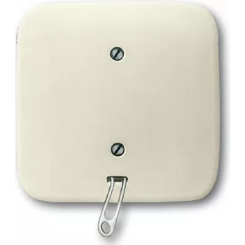 Busch Jaeger 2CKA001315A0191 Włącznik elektryczny Przełącznik linkowy Biały (2CKA001315A0191)