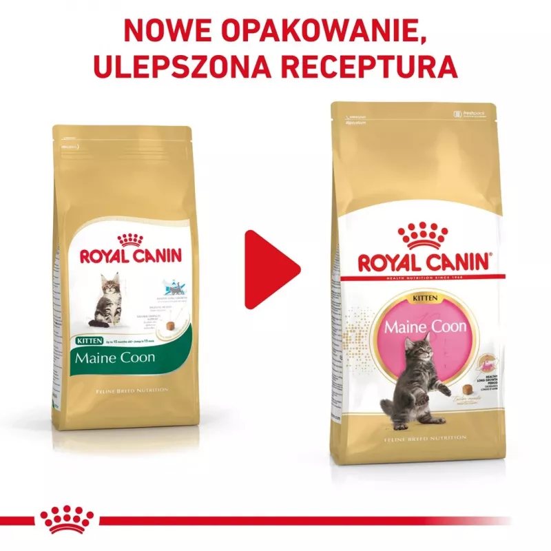 Sucha karma dla kota Royal Canin Maine Coon Kitten 2 kg — drób, białko 36%, tłuszcz 23%