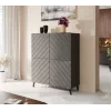 Shelving unit ABETO 100.5 x 40 x 121.5 cm grafitowy/połysk grafitowy