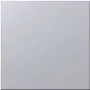 Siedle BM 611-0 SM - Aufspannplatte - Srebrny - Siedle - 99 mm - 26 mm - 99 mm (200016941-01)