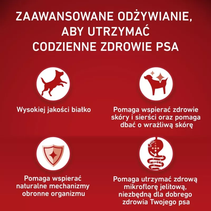 PURINA ONE MEDMAX Adult Sensitive Łosoś&Ryż 2,5kg