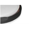Lampa sufitowa LED Activejet AJE-PETRUS 24W