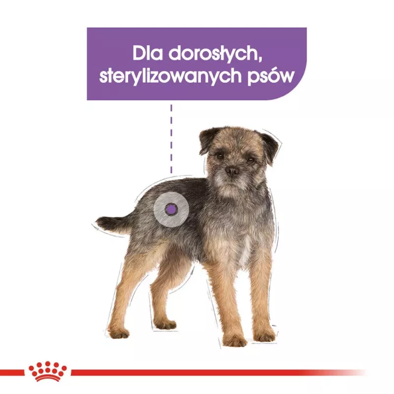 Sucha karma dla psa Royal Canin Mini Sterilised Care — 3 kg, kurczak, dla sterylizowanych małych ras (5–10 kg), dorosłe psy, 30% białka