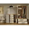 komoda z 2 drzwi i 4 szuflady, dąb artisan/kolor kaszmirowy