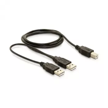 Kabel DELOCK USB 2.0 B -> USB-A Power + Power / Data