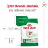 ROYAL CANIN Mini Ageing Adult +12 - sucha karma dla psów - 3,5 kg