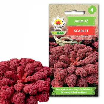 Nasiona jarmużu Scarlet Toraf, opakowanie 1 g