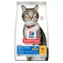 HILL'S SP Adult Oral Care Chicken - sucha karma dla kota - 1,5 kg