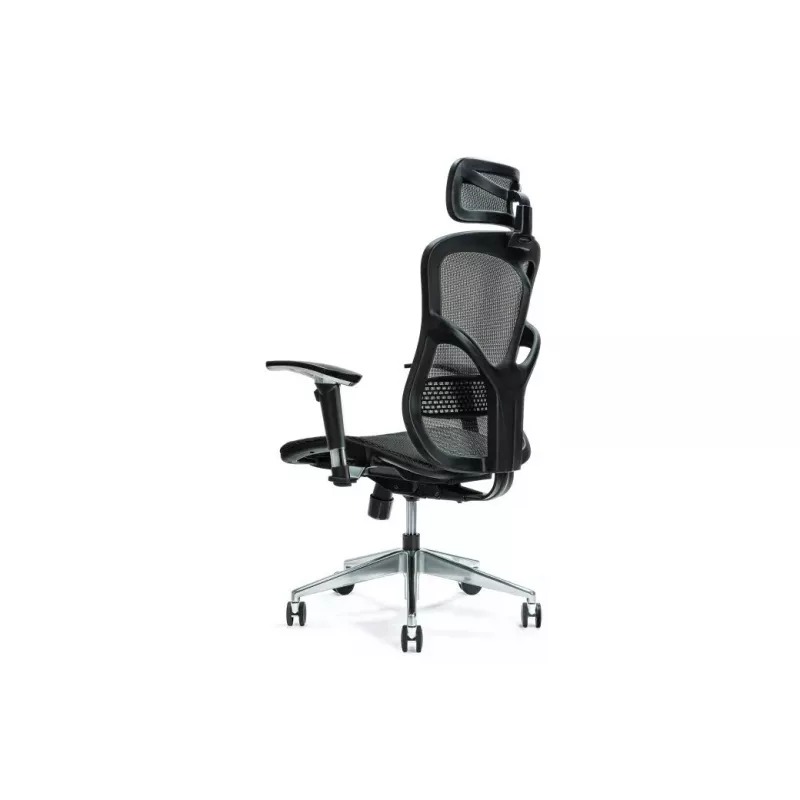 Ergonomiczne krzesło biurowe ERGO 500 czarny