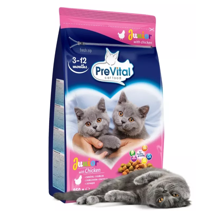 Sucha karma dla kota PREVITAL Junior Chicken 950 g — sucha karma dla kociąt, 35% białka, 12% tłuszczu