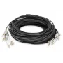 Kabel rozgałęźny Digitus DK-2433CU030BK-BBB 30m OM4 12 włókien LC/UPC