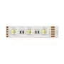 Synergy 21 LED Flex Strip 5050 - 60 RGB DC24V + RGB-W one chip ww IP68