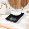 Waga kuchenna Salter SA00644FEU12