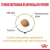 Sucha karma dla psa Royal Canin Pomeranian Adult 3 kg — formuła dla małych ras, dla dorosłych pomeranianów