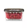 Szklany pojemnik próżniowy Caso z plastikową pokrywką | VacuBoxx Eco M | Przezroczysty