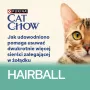 CAT CHOW Hairball Control Kurczak Fasolka szparagowa w sosie 85g