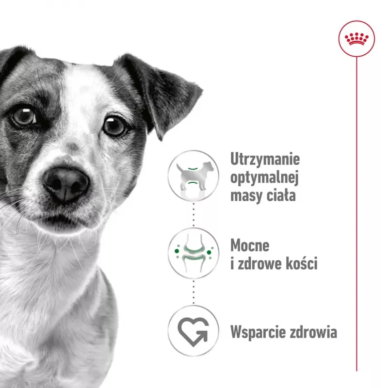 ROYAL CANIN Adult Mini S - sucha karma dla psów - 2kg