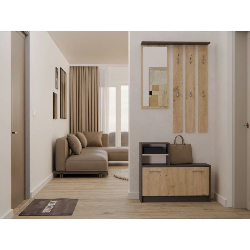 Szafka w przedpokoju top e shop GAR ANT/ART z 1 drzwiami uchylnymi, 850×240×1600 mm