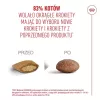 Sucha karma dla kota Royal Canin FHN Ageing 11+ 2 kg — drób, 30% białka, wsparcie stawów i nerek