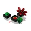 Lego Icons 10309 Sukulenty