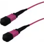 Kabel światłowodowy InfiniBand GRAFENTHAL GTOM4MPOUMPOU00100 1m MPO OFC fioletowy