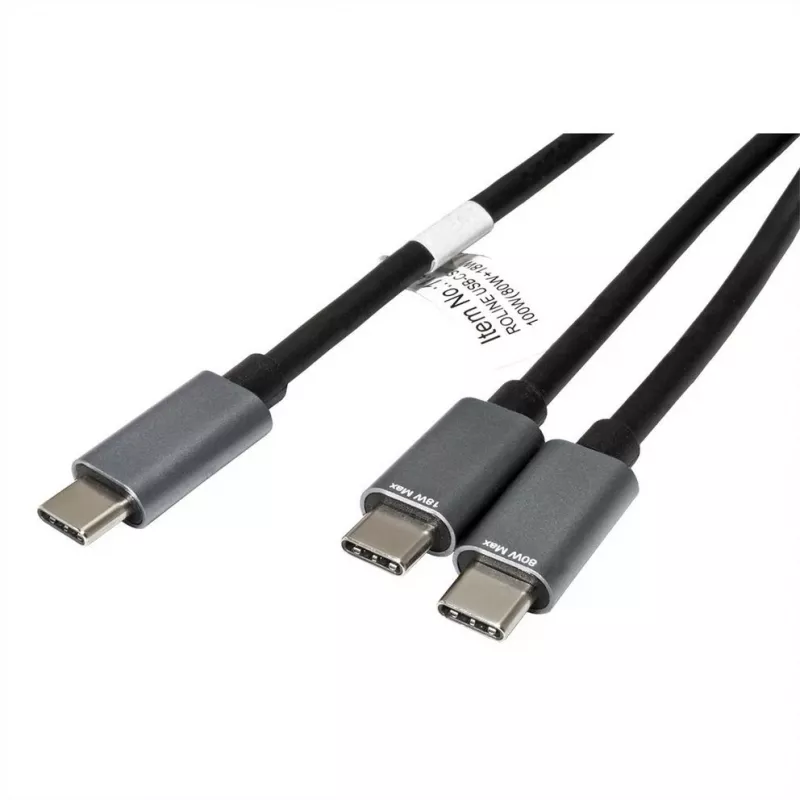 ROLINE - Kabel USB - 24-pin USB-C (M) na 24-pin USB-C (M) - USB 2.0 - 1,85 m - zasilanie USB (100 W) - Czarny (11.02.8308)