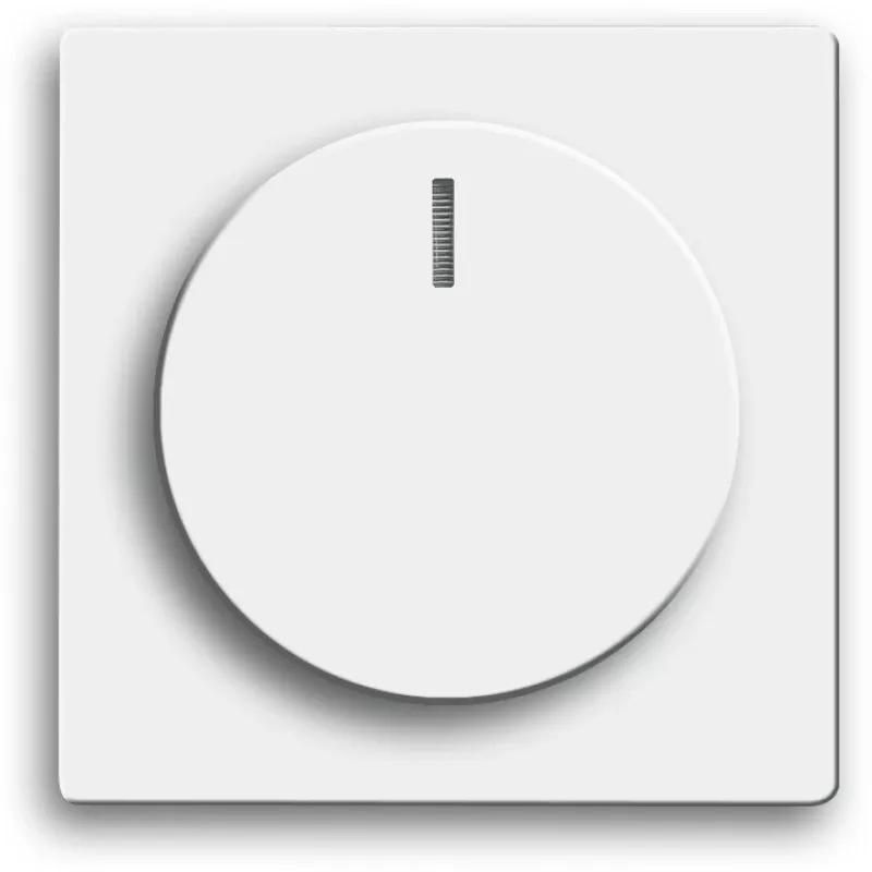 Busch-jaeger 2CKA006599A2953 Urządzenie sieciowe białe