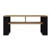 Topeshop MODERN 2P ART CZ stolik kawowy / boczny / narożny Stolik kawowy kształt prostokątny 2 noga/nogi