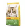 Sucha karma dla kota Josera Kitten z drobiem 2 kg