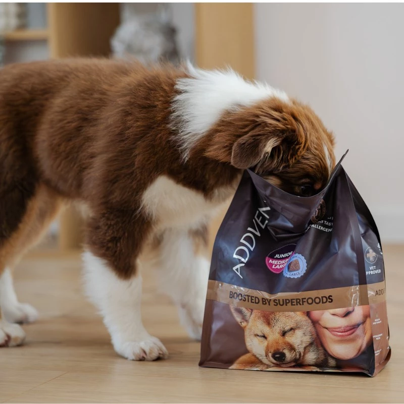 ADDVENA Boosted by superfoods Junior Medium/Large Beef - sucha karma dla psów - 10kg