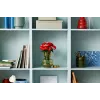 LEGO Icons Bukiet Róż Sztuczne Kwiaty Zestaw dla Dorosłych Kolekcja Botaniczna Dekoracje Domowe Prezent na Walentynki Prezenty dla Kobiet
