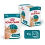 Mokra karma dla kota Royal Canin FHN Ageing 11+ Gravy 12×85 g – kompletne mokre tacki dla seniorów