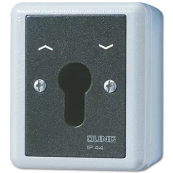 JUNG 834.28G Przełącznik elektryczny Przełącznik na klucz Czarno-biały (834.28G)
