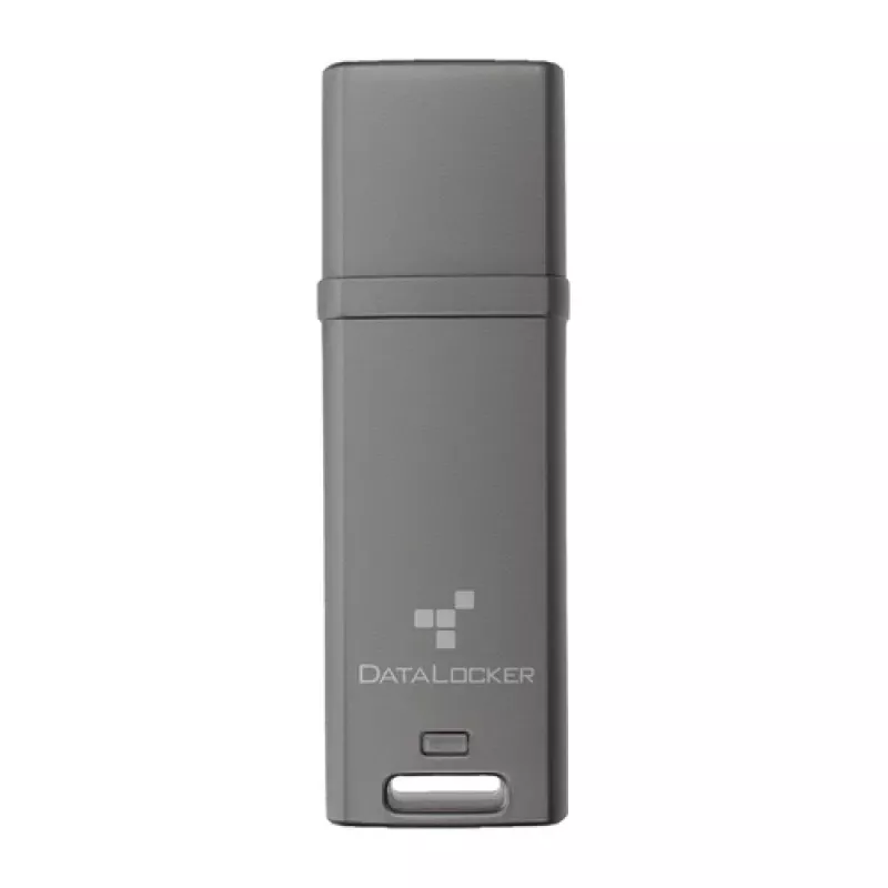 DataLocker 16GB DL GO 256BIT - pamięć flash USB 3.2 gen 1 - różne kolory (DLGO-016)