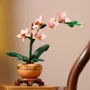 LEGO ICONS 10343 Kolekcja Botaniczna - Mini Orchidea