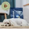 ADDVENA Power of Nature Adult Sensitive Small Lamb - sucha karma dla psów - 2,5kg