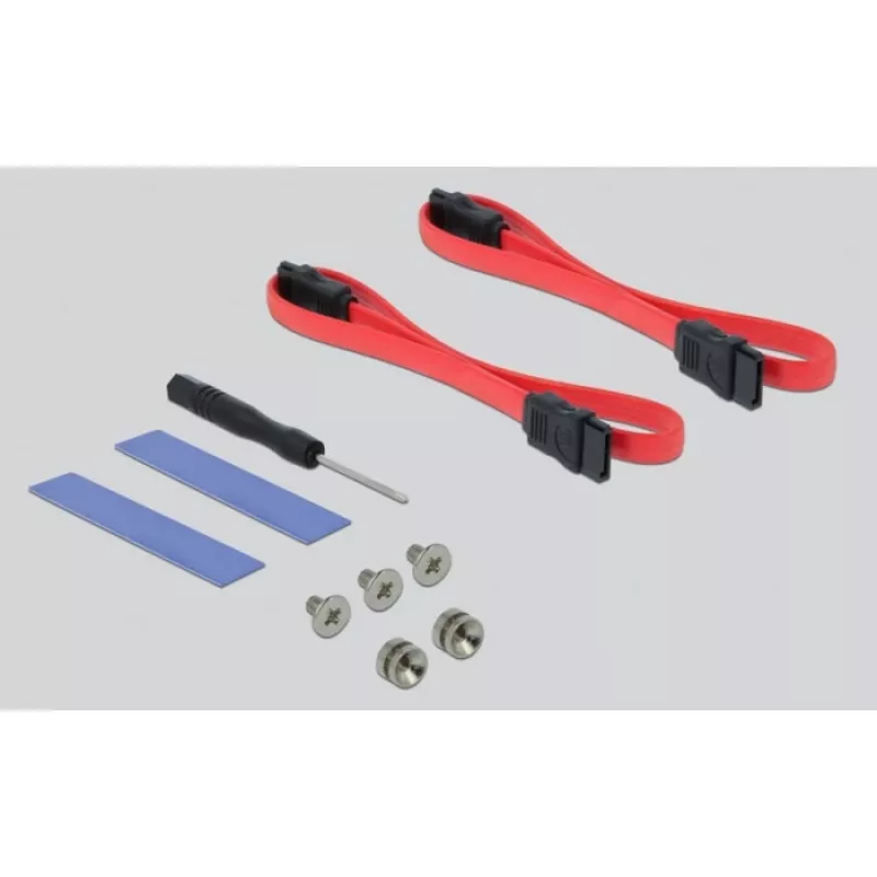 DeLOCK - Speicher-Controller - mSATA, M.2 - M.2 Card / mSATA Low-Profile - SATA 6Gb/s, PCIe 4,0 x16 (90486)