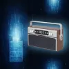 Przenośne radio MANTA RDI917PRO z Bluetooth i odtwarzaniem USB