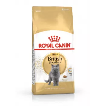 Sucha karma dla kota Royal Canin British Shorthair Adult 2 kg — drób, 34% białka, 19% tłuszczu