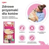 INABA Churu Tuńczyk o smaku krewetki - przysmak dla kota - 4x14 g