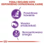 Sucha karma dla kota Royal Canin Sensible 33 Adult — 2 kg, białko 33%, tłuszcz 22%, wsparcie trawienia, smak drobiowy