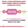 ROYAL CANIN Maine Coon Kitten - sucha karma dla kotów - 4 kg