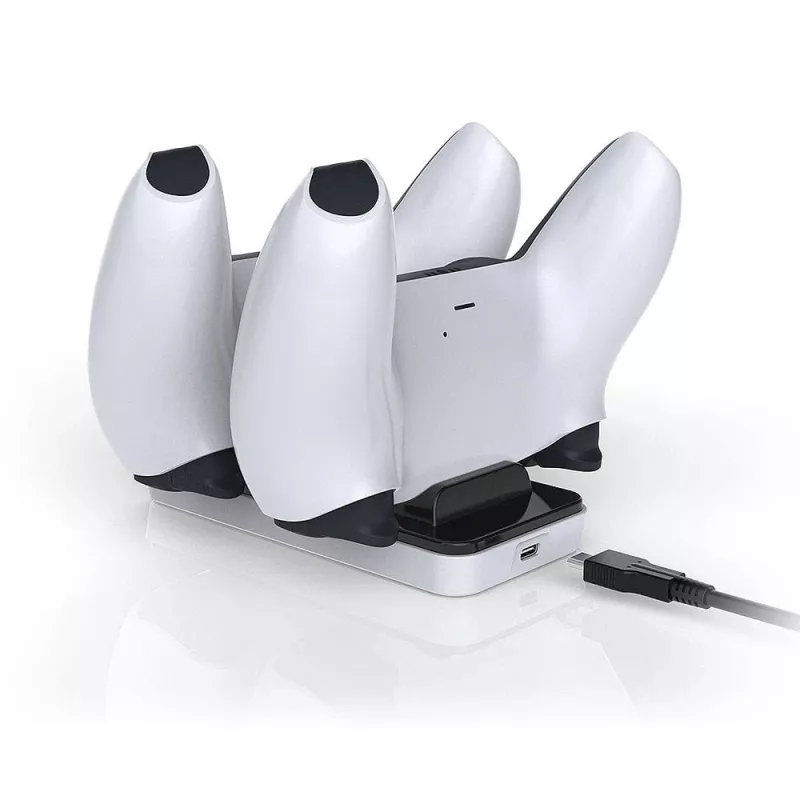 Raptor CS200-LT, do użytku wewnętrznego, USB, czarny, biały