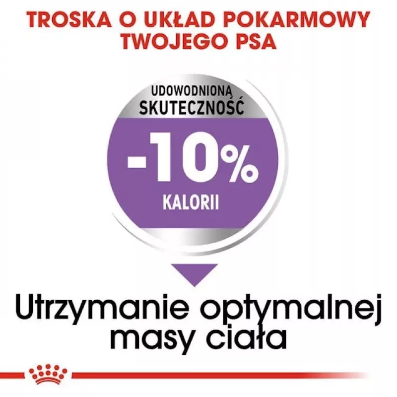 Sucha karma dla psów Royal Canin Medium Sterilised Adult 12 kg — dla wysterylizowanych dorosłych psów ras średnich, Drób, Białko 28%, Tłuszcz 13%